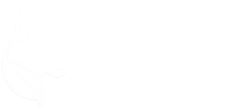 Logo for Litlynx Brand